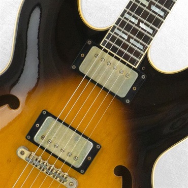 Aria ProII VINTAGE ES-800 '80 Sunburst 画像4