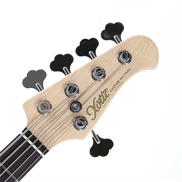 Xotic XJ-1T 5st (Vintage White/Alder/R) 画像4