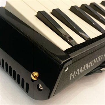 HAMMOND 【秋のSUPER SALE】【展示入替特価品】PRO-24B(バスメロディオン）　スズキ　ハモンド 画像2