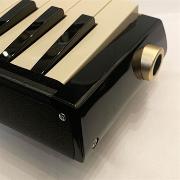 HAMMOND 【秋のSUPER SALE】【展示入替特価品】PRO-24B(バスメロディオン）　スズキ　ハモンド 画像3
