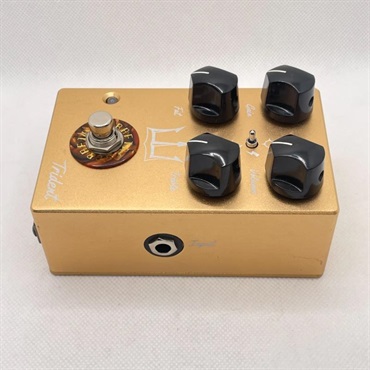 unknown USED 中古 Trident Limited GOLD 画像2