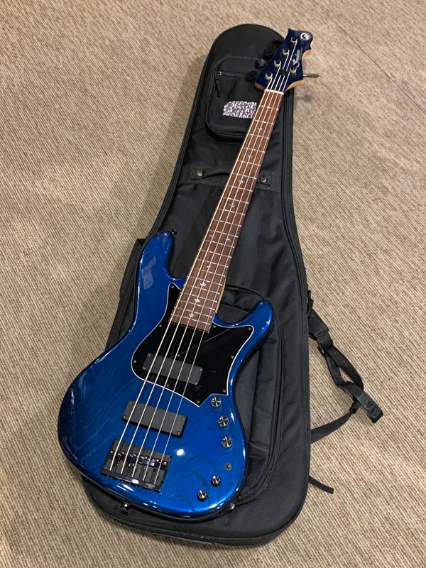 買取実績】Freedom Custom Guitar Research | 楽器の買取ならイケベリユース