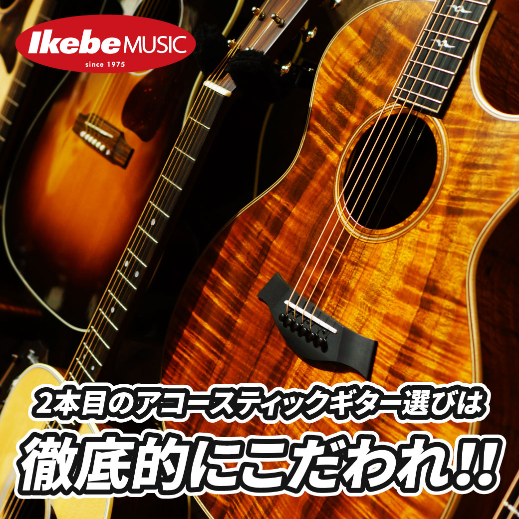 2本目のアコースティックギター選びは徹底的にこだわれ！！ | Ikebe MUSIC INFORMATION