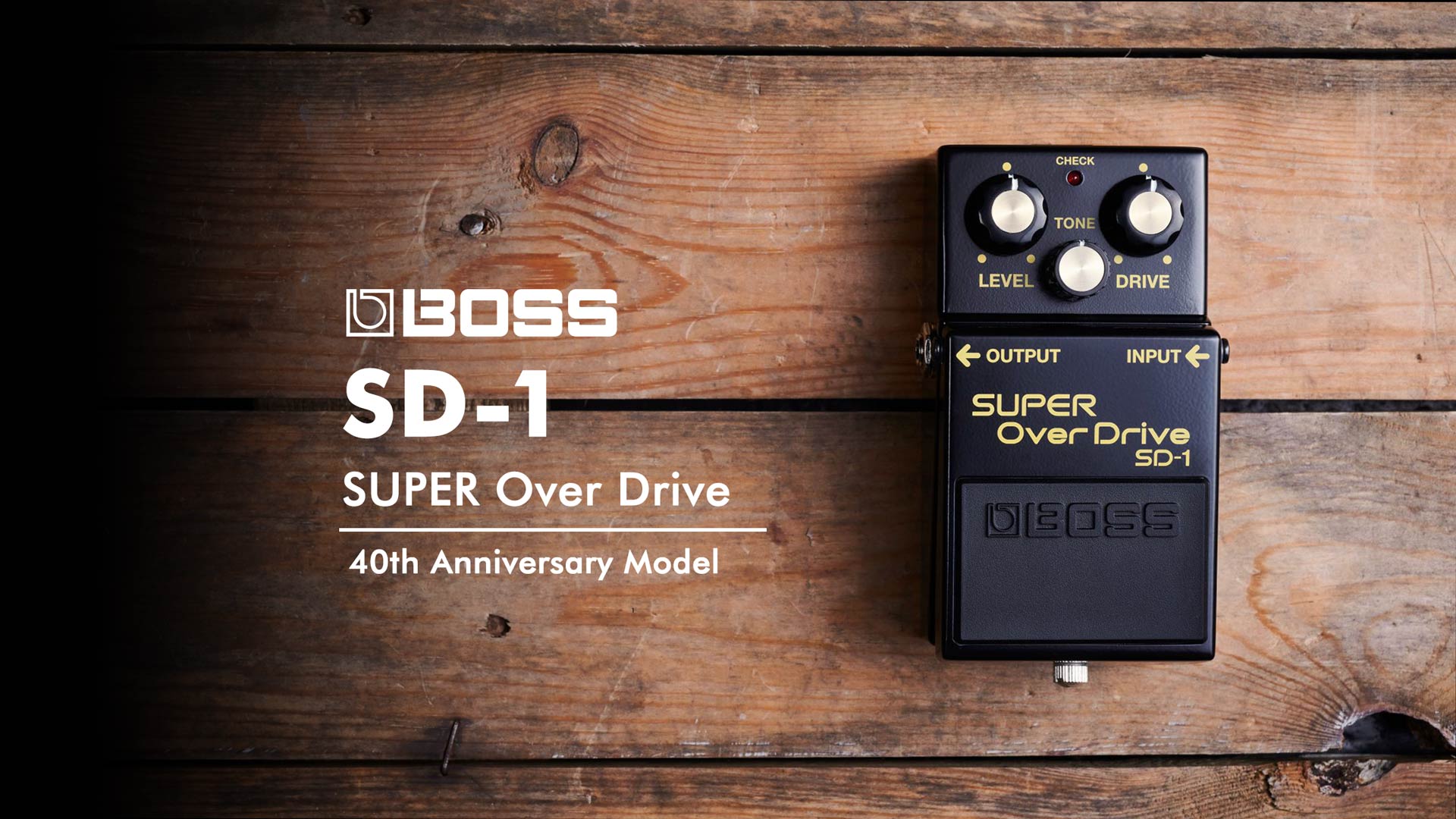 BOSS SD-1-4A [SUPER Over Drive 40th Anniversary] ｜ イケベ楽器店